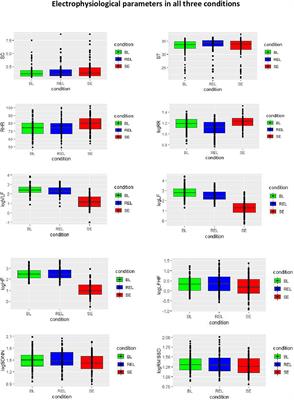 Electrophysiological correlates of mindfulness in patients with major depressive disorder